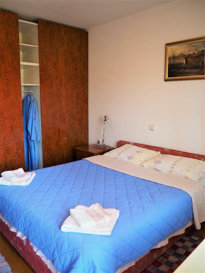 Guest House Stefanovic 弗拉涅 外观 照片