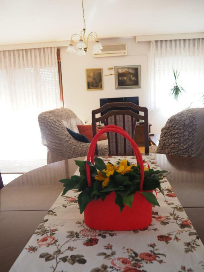 Guest House Stefanovic 弗拉涅 外观 照片
